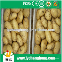 2014 neue Ernte Kartoffel für Massenverkauf